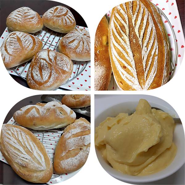 PhotoCollage_20200828_175055877.jpg PhotoCollage_20200828_175055877.jpg