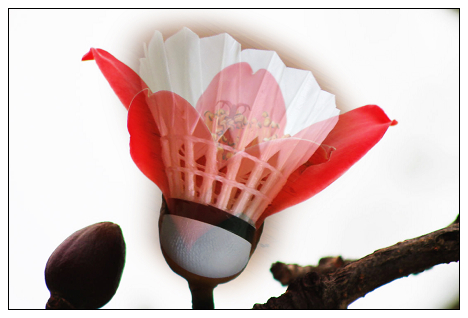 86146965_8e94913eddeb18a269718c1289c8af40