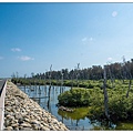 DSC03962-2.jpg