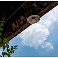 DSC05546-1.jpg
