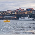 DSC09517-1.jpg