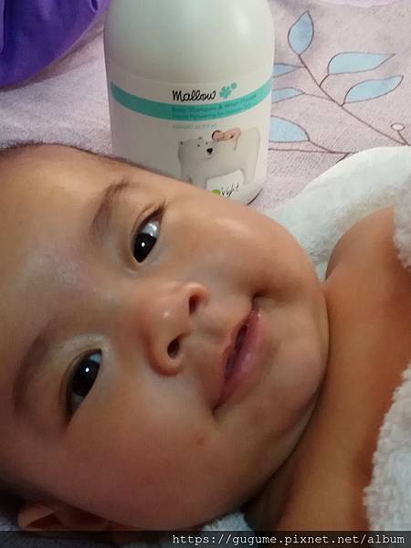 IMG_20190206_154843.jpg IMG_20190206_154843.jpg