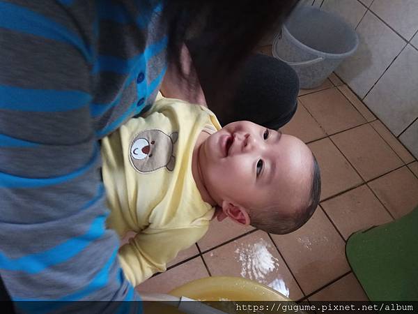 IMG_20190206_154020.jpg IMG_20190206_154020.jpg