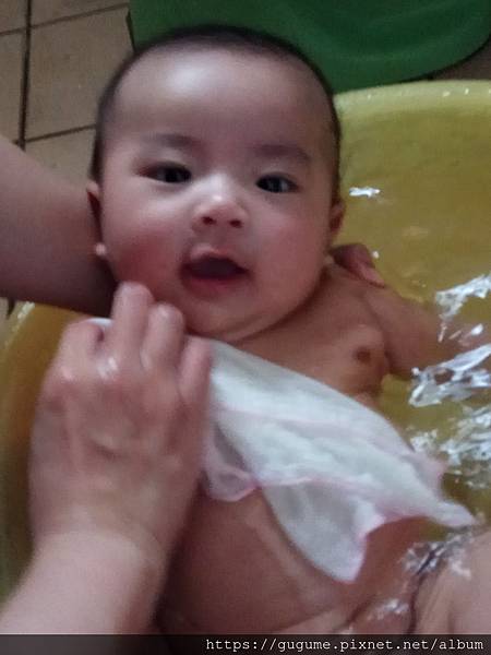 IMG_20190206_154448.jpg IMG_20190206_154448.jpg