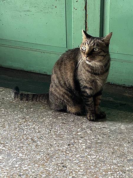 [食記]台南中西●拾貳甜事/隱藏在市場甜點店/永樂市場/脆皮