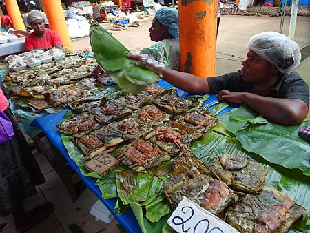 SAM_8172_副本 SAM_8172_副本