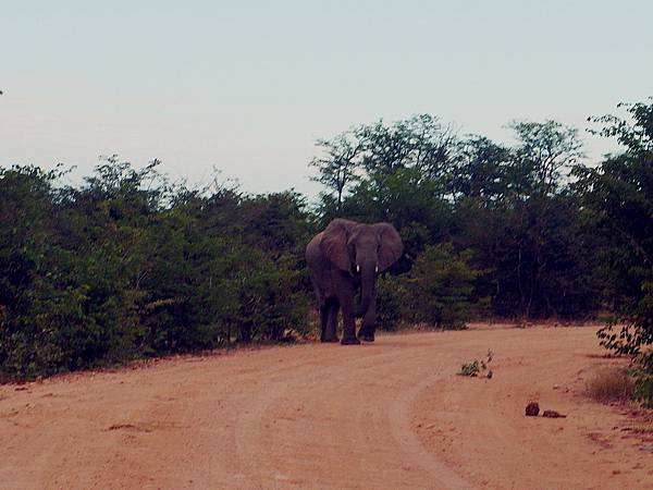 SAM_2079_副本.jpg SAM_2079_副本.jpg