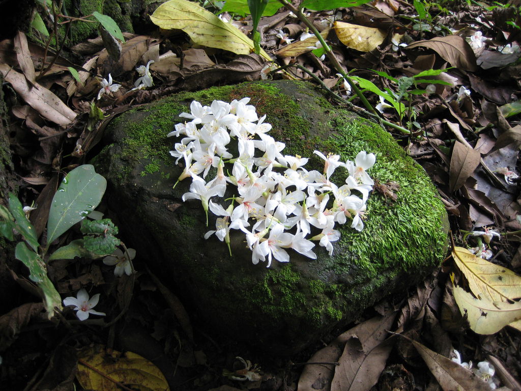 IMG_0112 IMG_0112