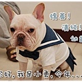 2009-11-21_PET QBEQ 秋冬新裝