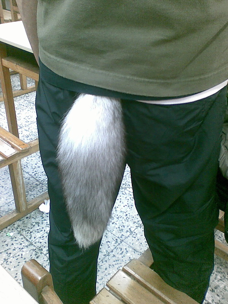 20101110_001-001.jpg 20101110_001-001.jpg