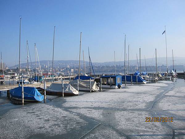 IMG_6095 IMG_6095