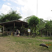 IMG_7507 IMG_7507