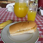 IMG_7505 IMG_7505