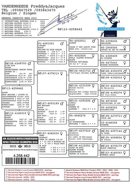 BE13-4258442_ped BE13-4258442_ped