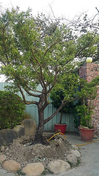 20151217_162129-1 20151217_162129-1