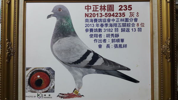 中正林園235