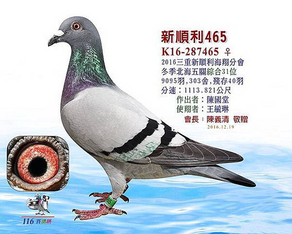 2016三重新順利冬季綜合31位-1 2016三重新順利冬季綜合31位-1