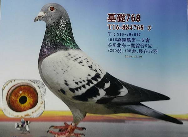 綜合8位之父-1 綜合8位之父-1