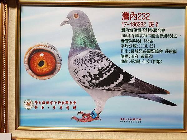 815114-1.jpg 815114-1.jpg