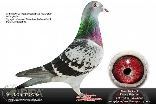 be15-3148748_main.jpg be15-3148748_main.jpg