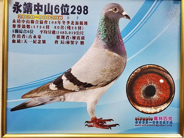 3171064-1.jpg 3171064-1.jpg