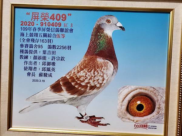 1602512054261-1.jpg 1602512054261-1.jpg