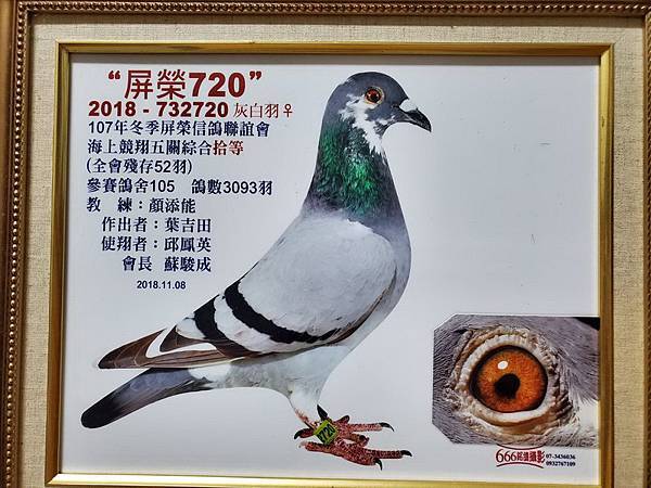 1604541177695-1.jpg 1604541177695-1.jpg