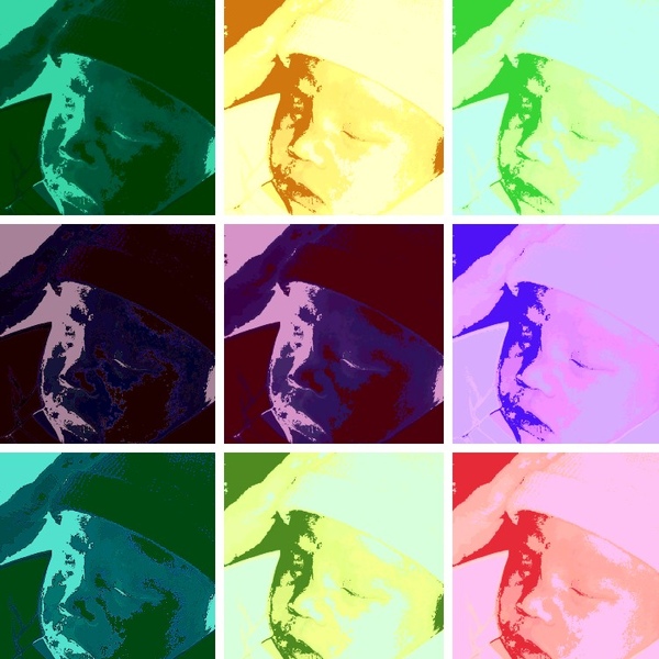 warholizer5659361.jpg