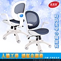 吉加吉 設計師款 人體工學椅 型號FRESH