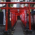 稻荷神社似乎很容易出現千本鳥居