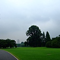 2008_07230166.jpg