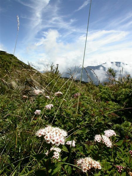 合歡山東峰拍.JPG