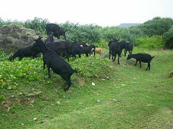 墾丁美食之旅029.JPG