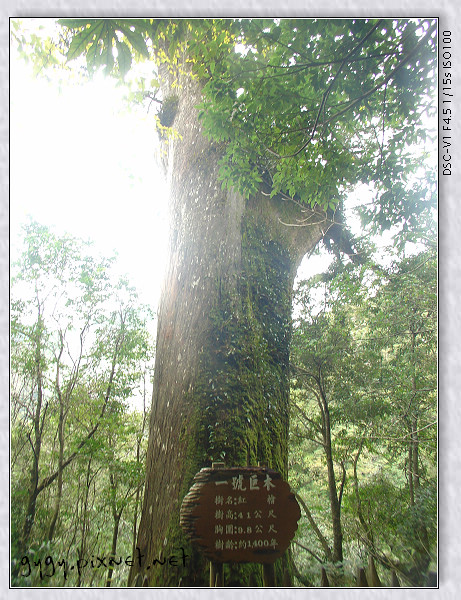 荒青跨年119_拉拉山.jpg