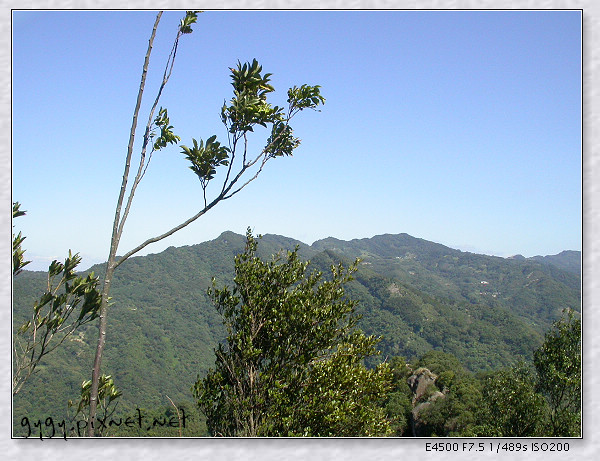 五寮尖荒青成立044.jpg