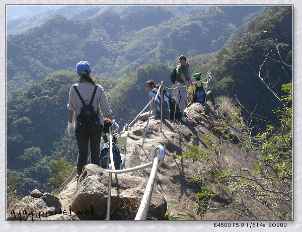 五寮尖荒青成立059.jpg