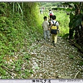 油桐花步道044.jpg