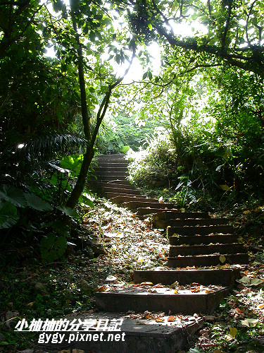 神秘龜山島020.jpg