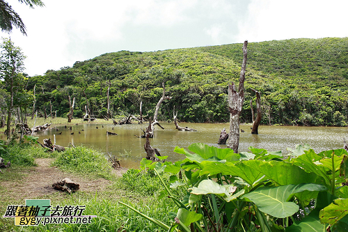 蘭嶼大天池_呂昇祐拍28.jpg