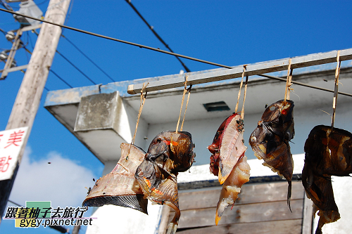 蘭嶼曬魚篇001.jpg