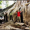 【塔普倫寺Ta Prohm 】柚子當比例尺.jpg