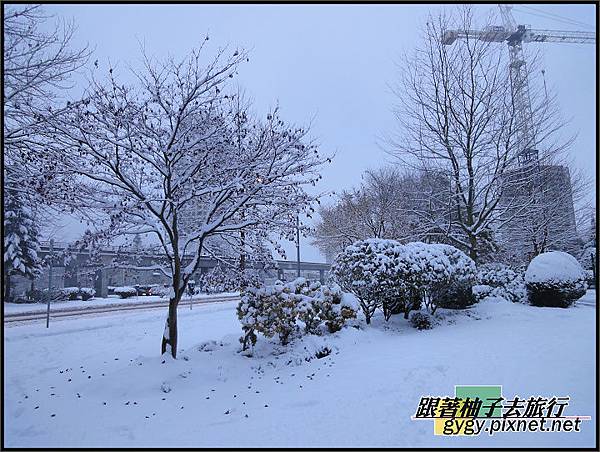 991125_溫哥華第二場積雪0100.jpg