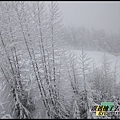 991208-10惠斯勒滑雪WX5拍_188.jpg