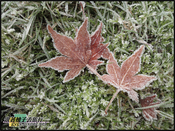 9912溫哥華WX5拍_00164.jpg 9912溫哥華WX5拍_00164.jpg