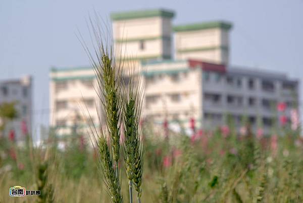 PhotoCap_017