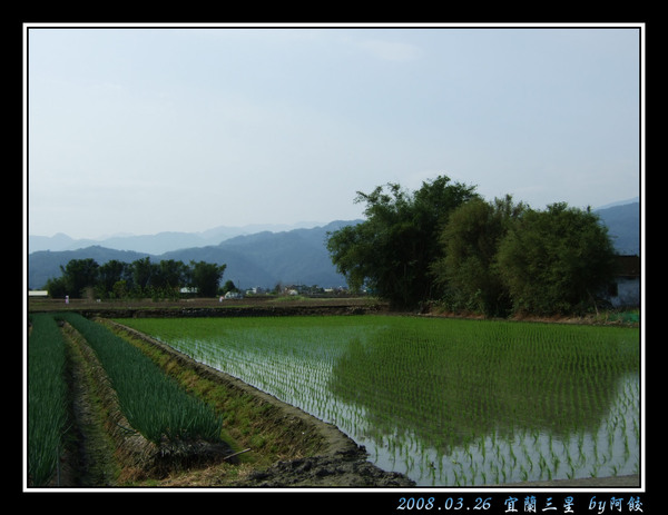 f田野好風光.jpg