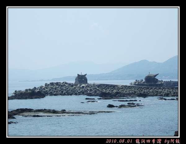 10水泥鯨魚.jpg