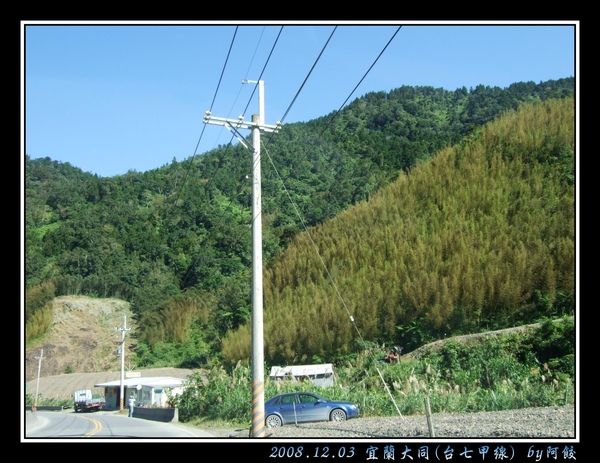 18此地多竹林.jpg