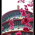 15天元宮的天壇與櫻花.jpg