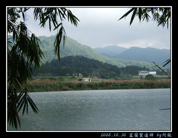 6岸邊一片粉紅.jpg
